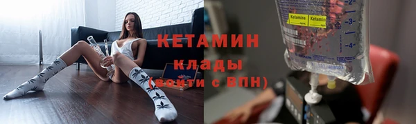 apvp Алзамай