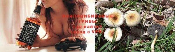 прущий лед Алексин