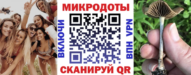 Псилоцибиновые грибы Psilocybe  где продают наркотики  Качканар 