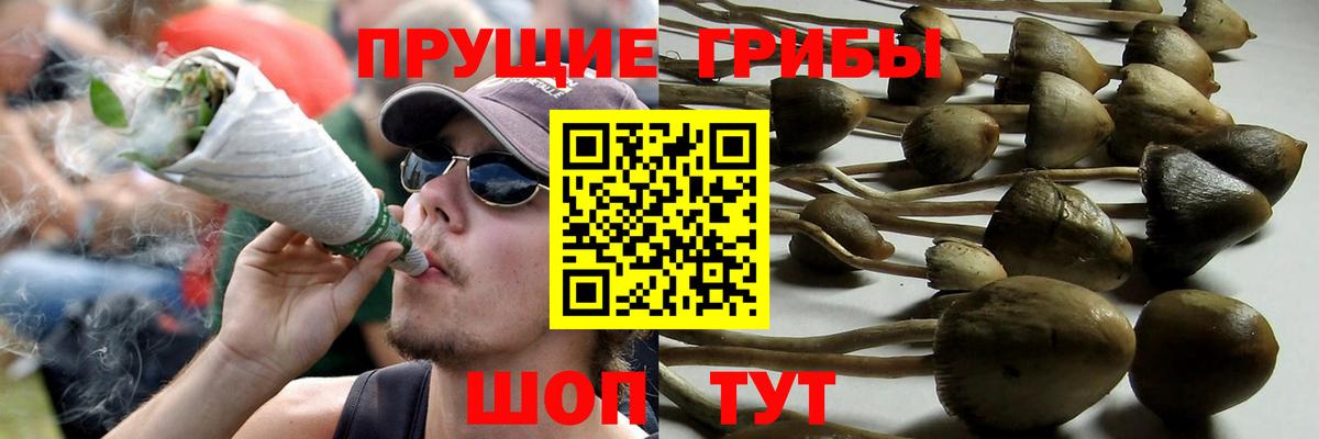 Качканар  Галлюциногенные грибы GOLDEN TEACHER  Вход с VPN 